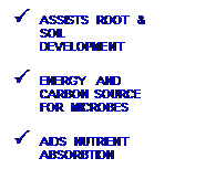 Text Box: P ASSISTS ROOT & SOIL DEVELOPMENT
P ENERGY AND CARBON SOURCE FOR MICROBES
P AIDS NUTRIENT ABSORBTION